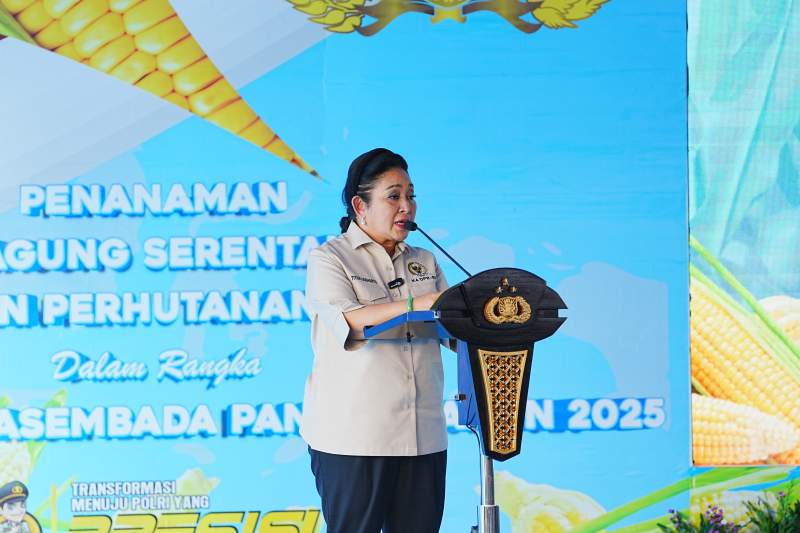 IMG-20250710-WA0007(1)